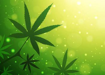 Cannabinoides: Forma acida versus no acida