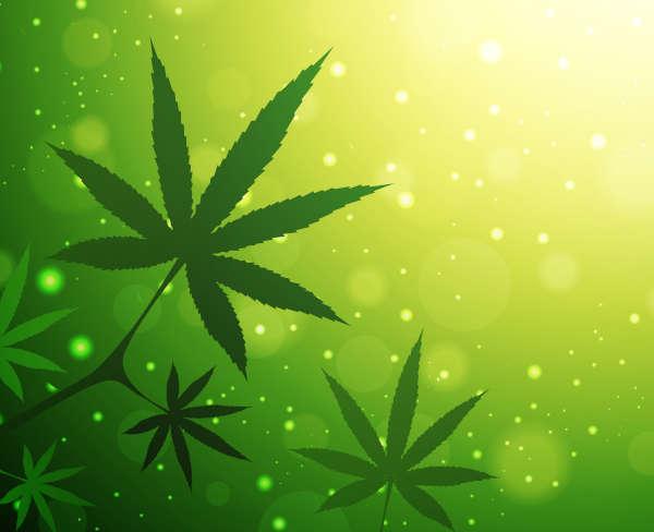 Cannabinoides: Forma acida versus no acida Cannabinoides: Forma acida versus no acida
